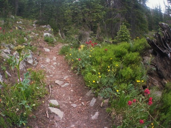 Baker Gulch Trail